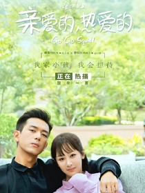 亲爱的，热爱的.改编版