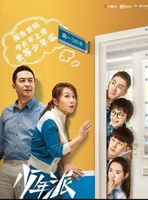 少年派:浪漫的婚姻