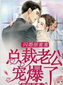 闪婚甜蜜蜜:总裁老公宠爆了