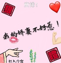 我的嬌妻不好惹