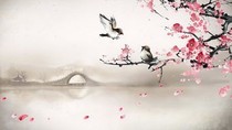 逃婚夫妻——d649