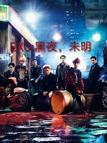 EXO:黑夜，未明