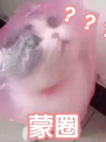雏鹰男友