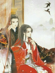 凤归朝:王爷强宠