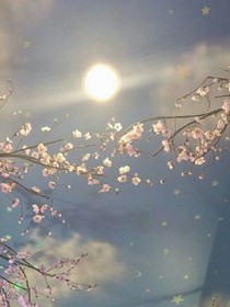 穿越之公主殿下的愛戀