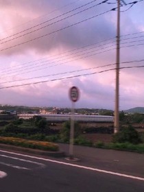 陶忆忱凉。