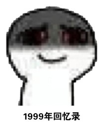 1999年回忆录