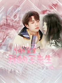 你好，我的王先生！
