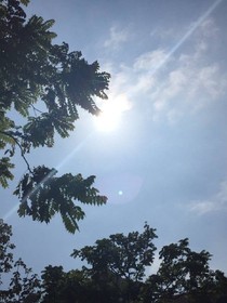 重生之青春璀璨
