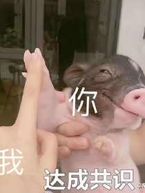 武林天下
