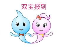 双宝报到