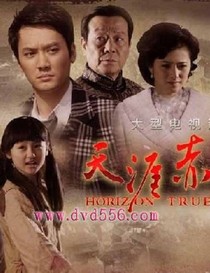 天涯赤子心连续剧_d925