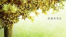 爱之怨锁
