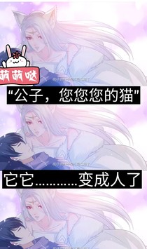公子别撩我，我是只猫