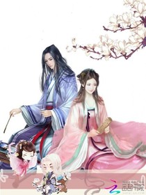 穿越之冷王爷的傻妃