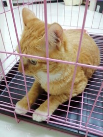 仙君再續(xù)前緣