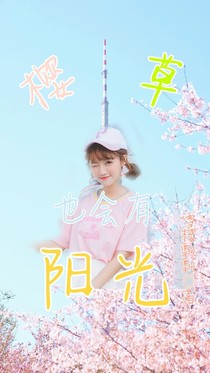 樱草也会有阳光