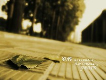 我的霸气男友之夏沫