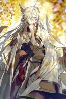 九尾天君之恋