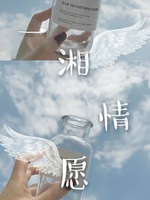 少女的一湘情愿