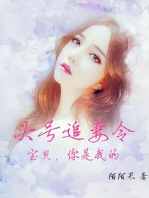 头号追妻令：宝贝，你是我的