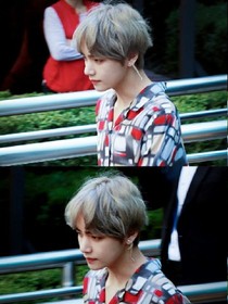 BTS:避光