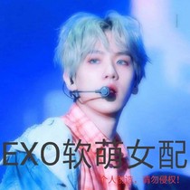 EXO軟萌女配