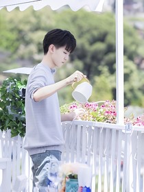 王俊凯:灰姑娘