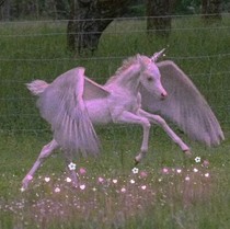 艺艺小馆