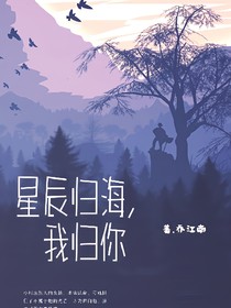 星辰归海，我归你