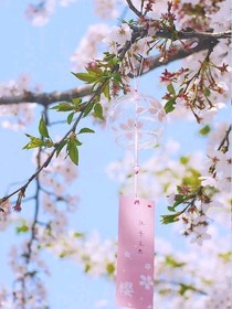 满目星河爱而不得