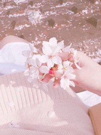 栀子花_边伯贤
