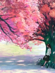 櫻花樹下的單車