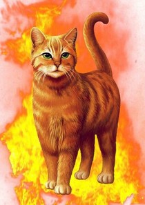 猫武士~迷雾黄昏