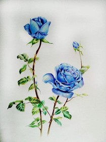 血色曼陀罗和蓝色妖姬的倾城之恋