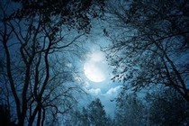 恐怖網(wǎng)紅