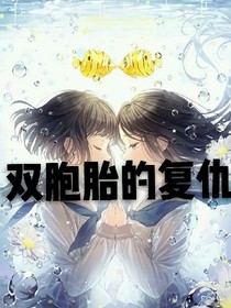 雙胞胎的復(fù)仇