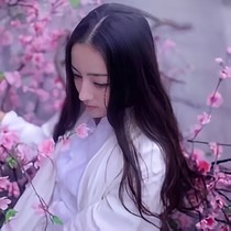 掉落的櫻，消失的緣
