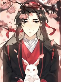 江澄，我不是你的