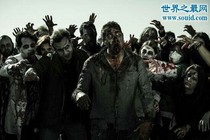 第五庄园的生化危机