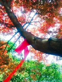 一步世间，一念劫灰