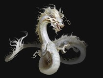 我是神龙