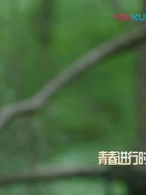 作品是:看精灵梦叶罗丽第七季