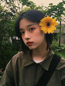 南情未有时