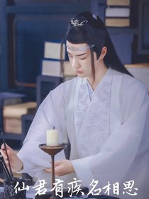 陳情令:仙君有疾名相思-d947