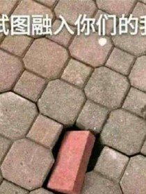 不叫血樱叫沐樱