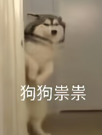 遇你星辰皆黯淡