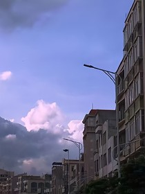 叹这惊鸿一瞥