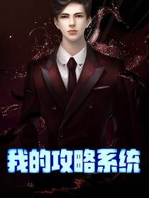 我的攻略系统