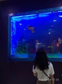 你是青春里的四月天